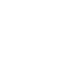Logo BNI Vikings